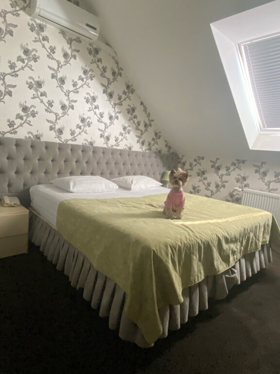 Гостиница Шертон Ростов-на-Дону-146