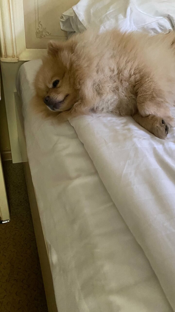 Гостиница Шертон Ростов-на-Дону-143