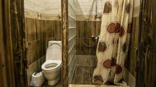 Гостиница Шертон Ростов-на-Дону Двухместный номер Делюкс с 1 кроватью + дополнительная кровать-3