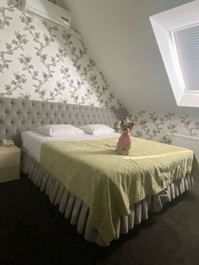 Гостиница Шертон Ростов-на-Дону-145