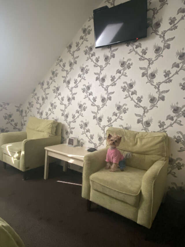 Гостиница Шертон Ростов-на-Дону-201